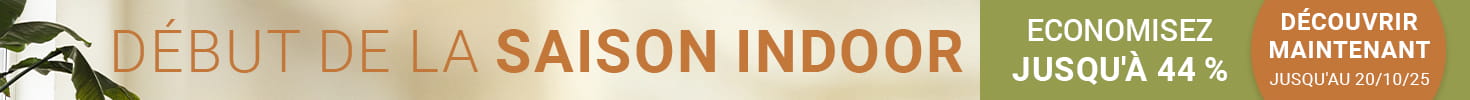 promo-banner
